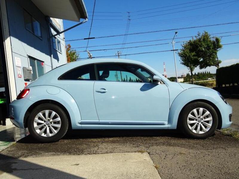 THE BEETLE
