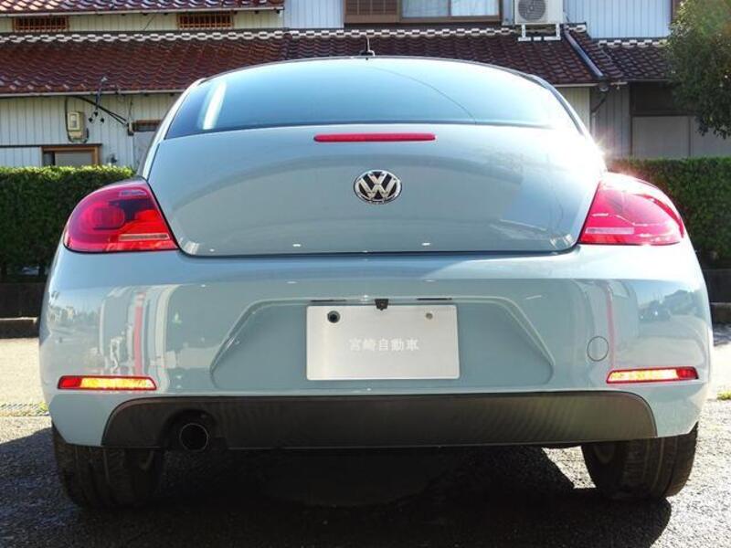 THE BEETLE