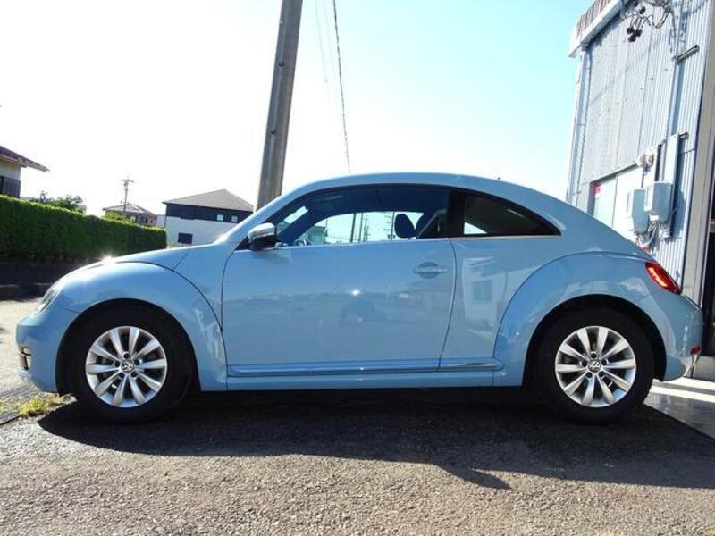 THE BEETLE