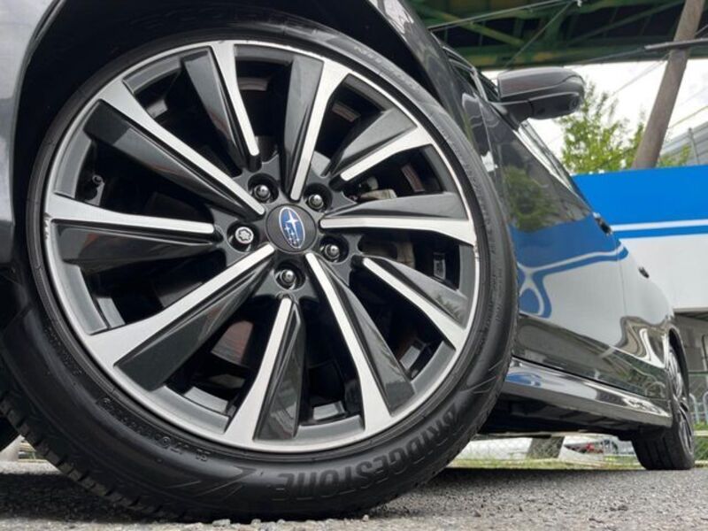 LEVORG
