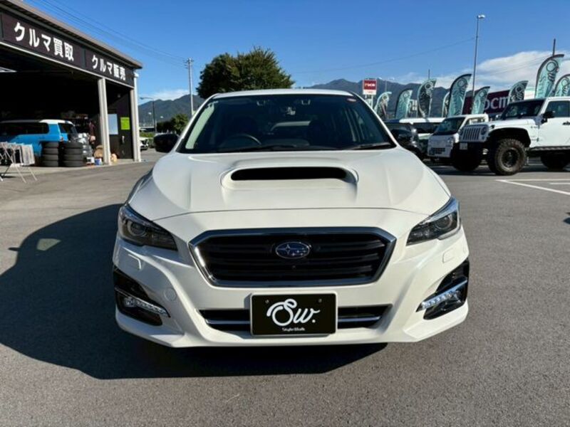 LEVORG