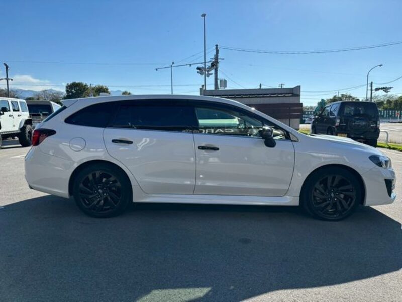 LEVORG
