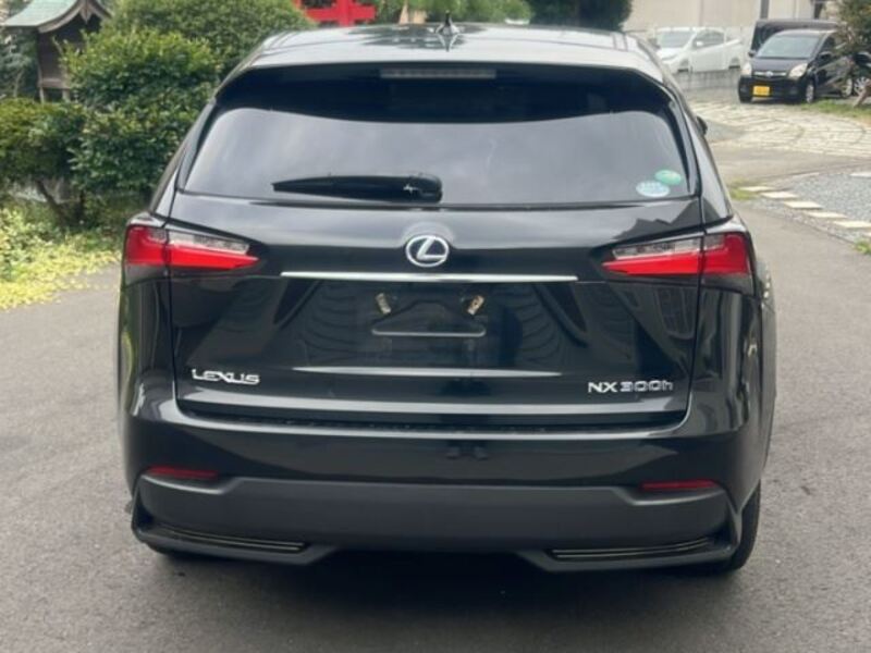 NX