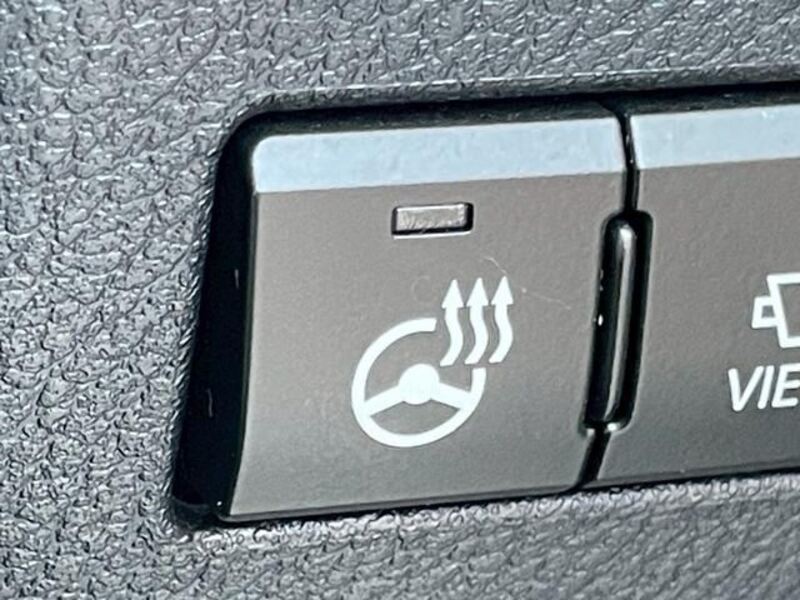 NX