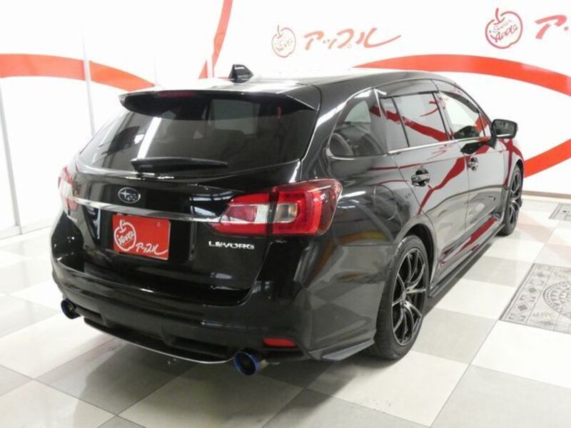 LEVORG