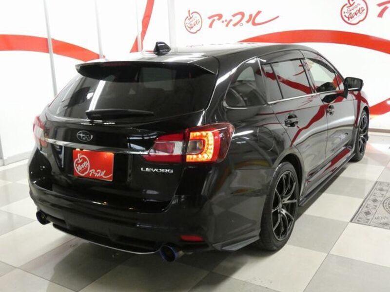 LEVORG