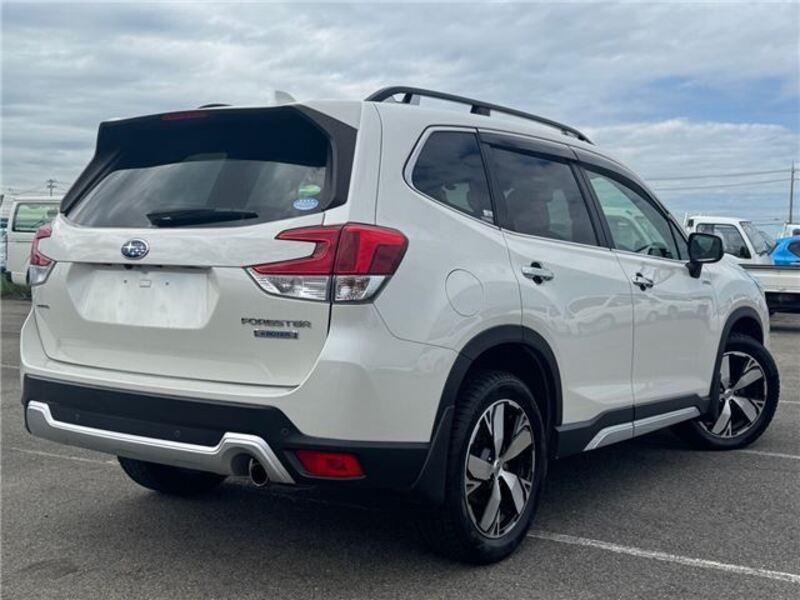 FORESTER