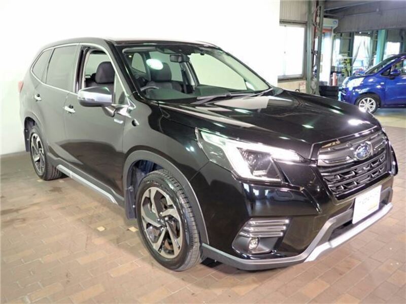 FORESTER