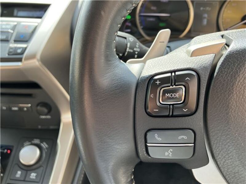 NX