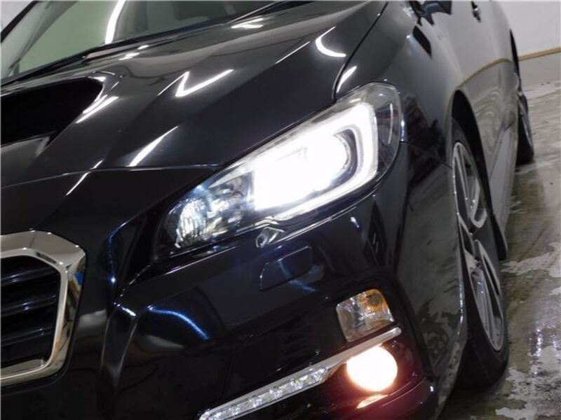 LEVORG-0