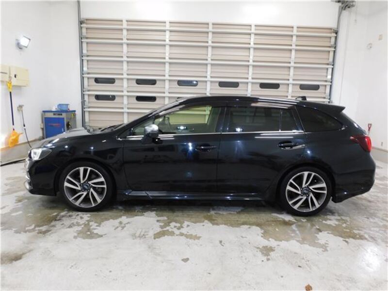 LEVORG