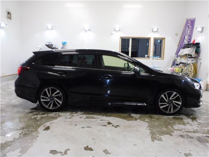 LEVORG