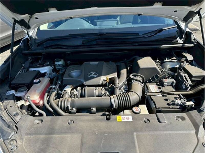 NX
