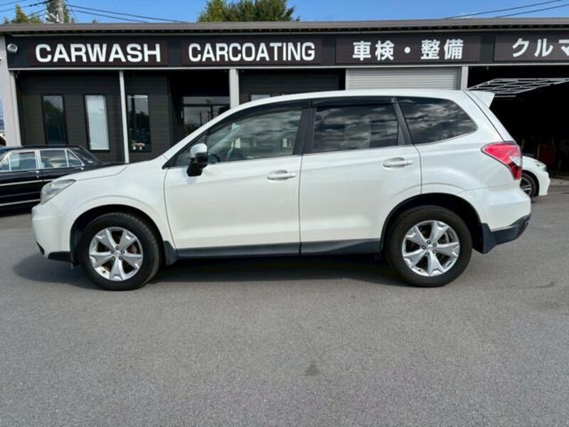 FORESTER