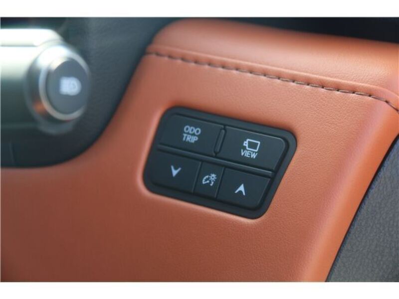 LX