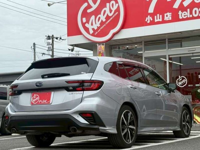 LEVORG