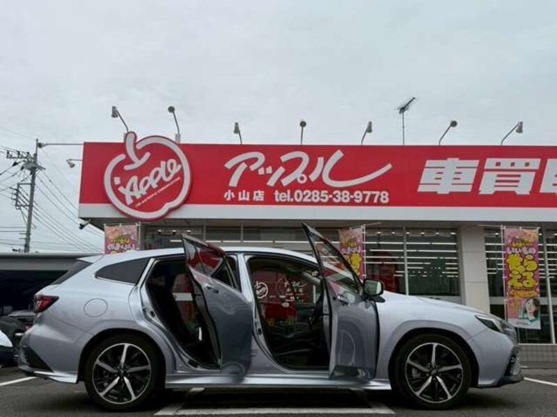 LEVORG