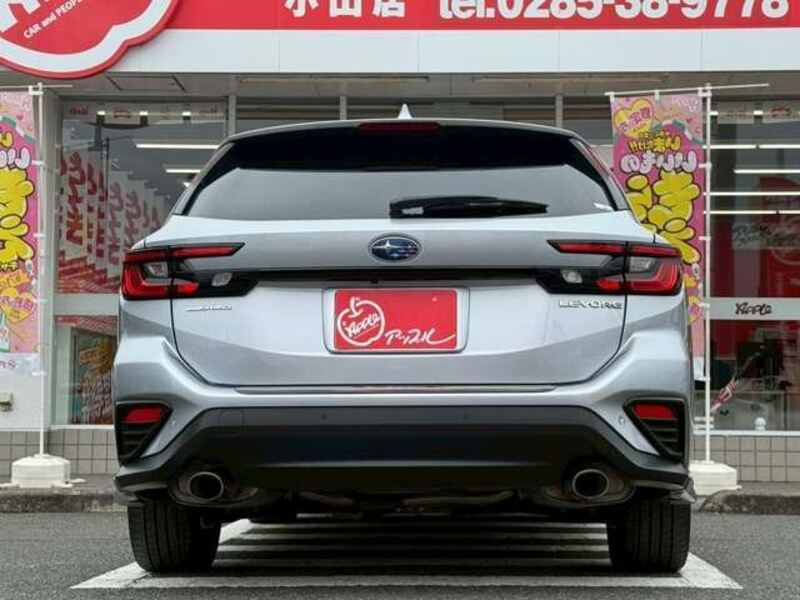 LEVORG