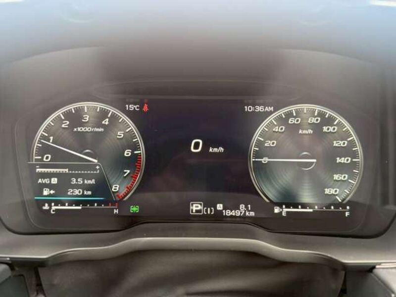 LEVORG