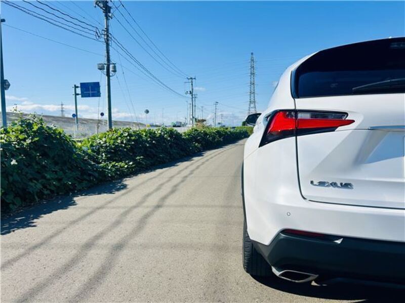 NX