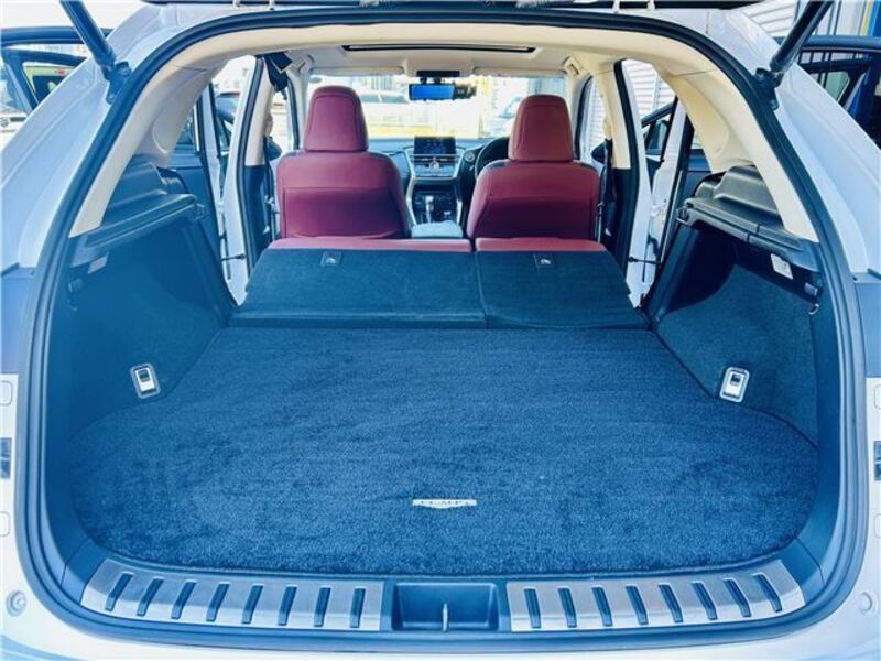 NX