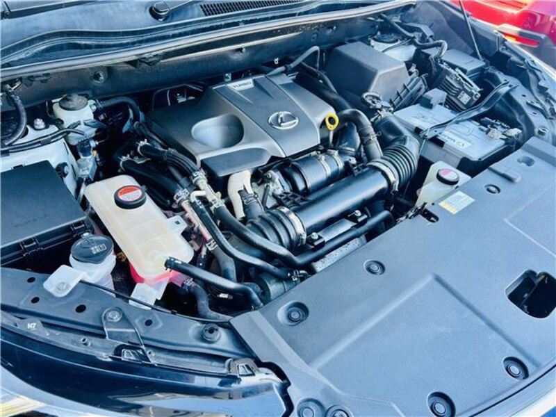 NX