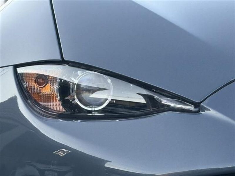 ROADSTER RF