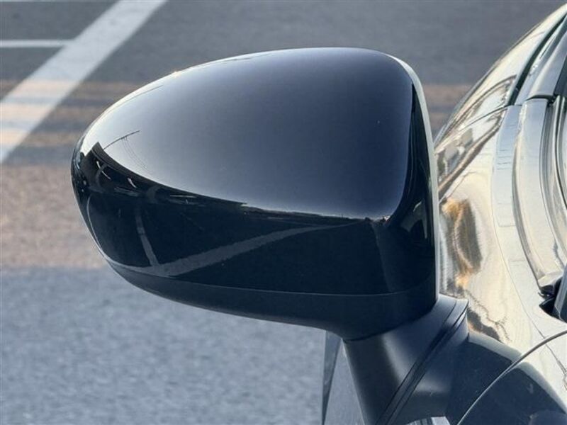 ROADSTER RF