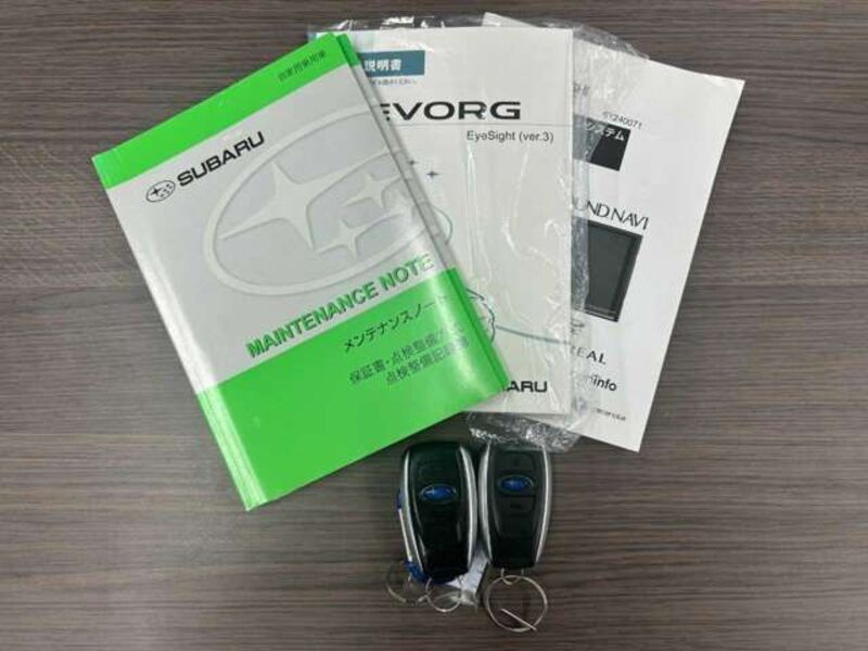 LEVORG