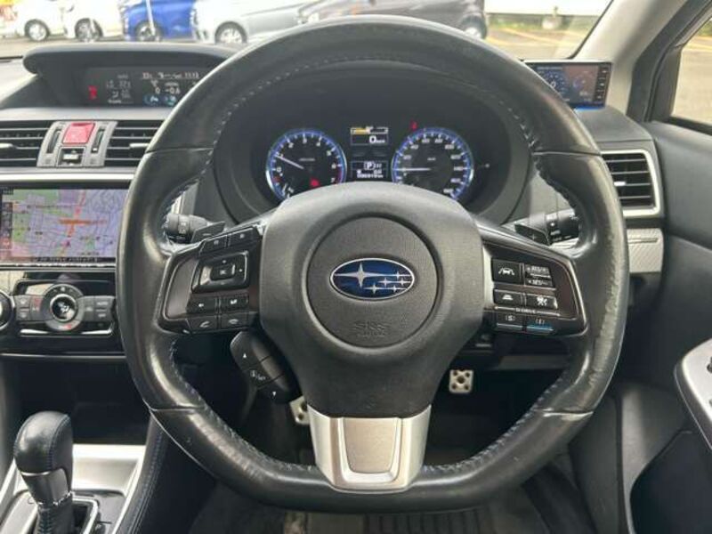 LEVORG