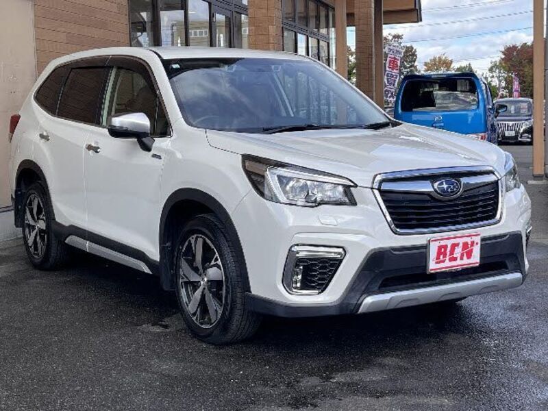FORESTER