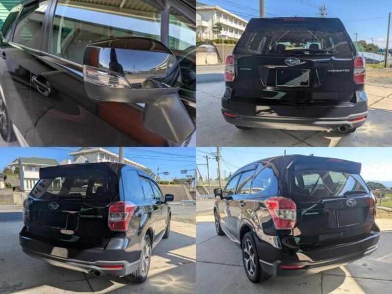 FORESTER