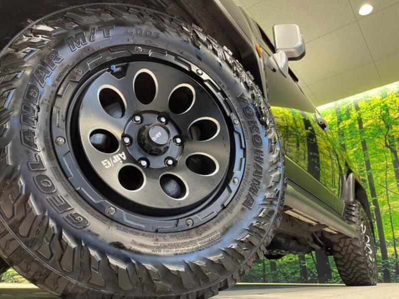 FJ CRUISER