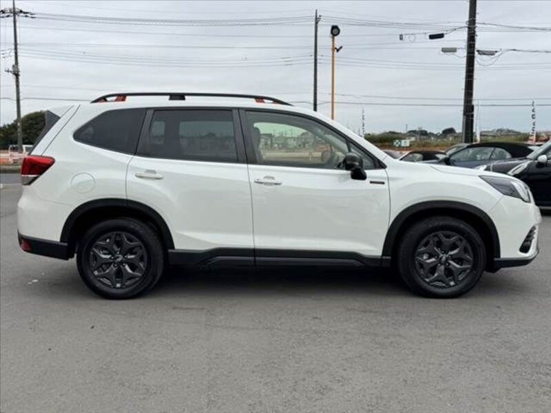 FORESTER