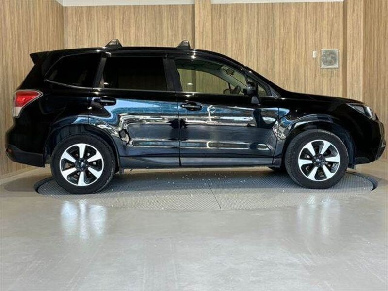 FORESTER