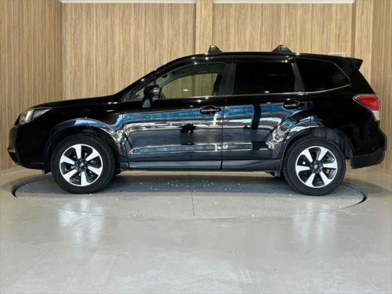 FORESTER