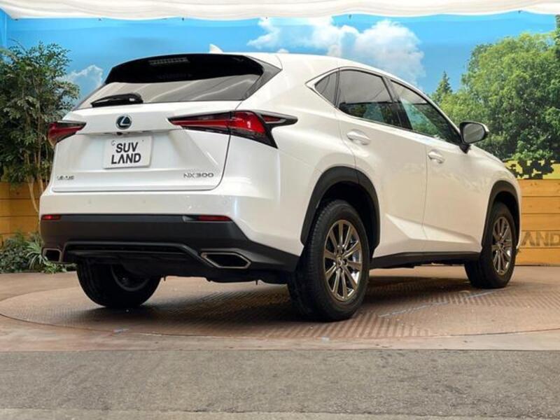 NX