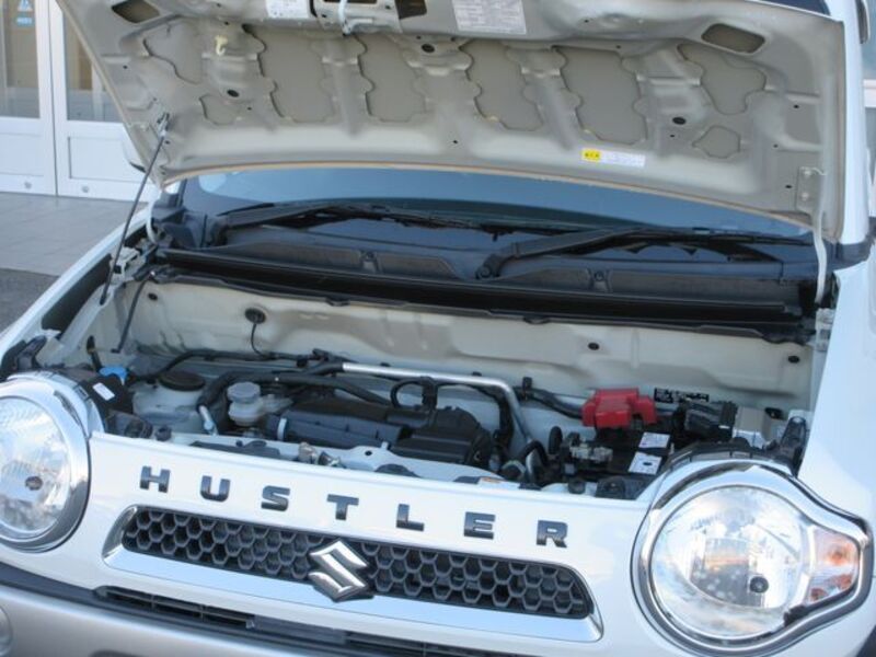HUSTLER