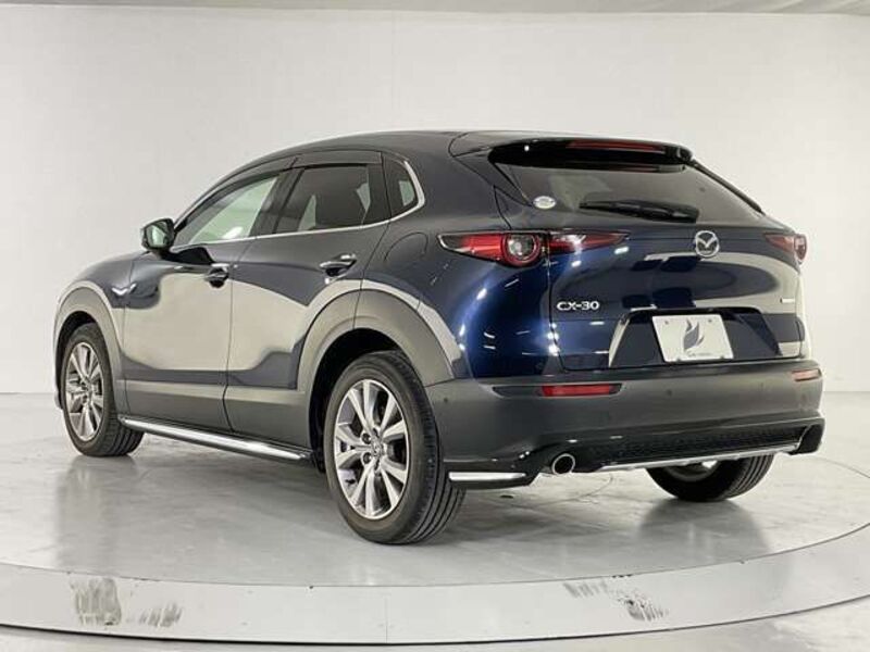 CX-30