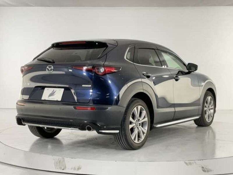 CX-30