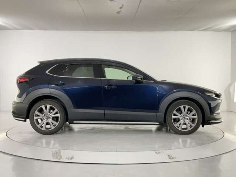 CX-30