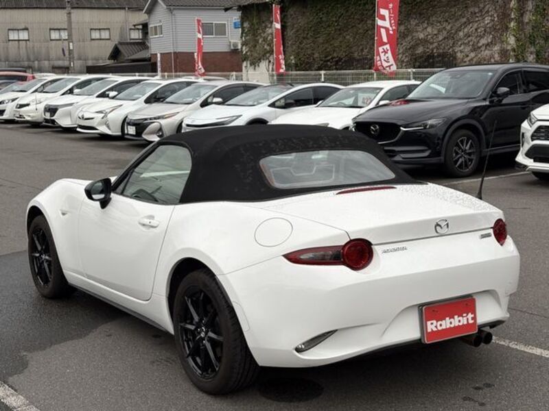 ROADSTER