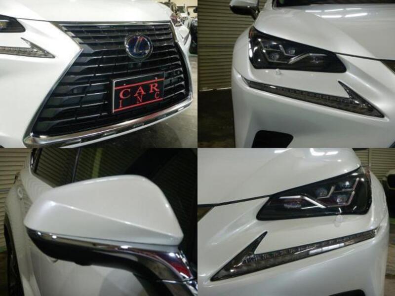 NX