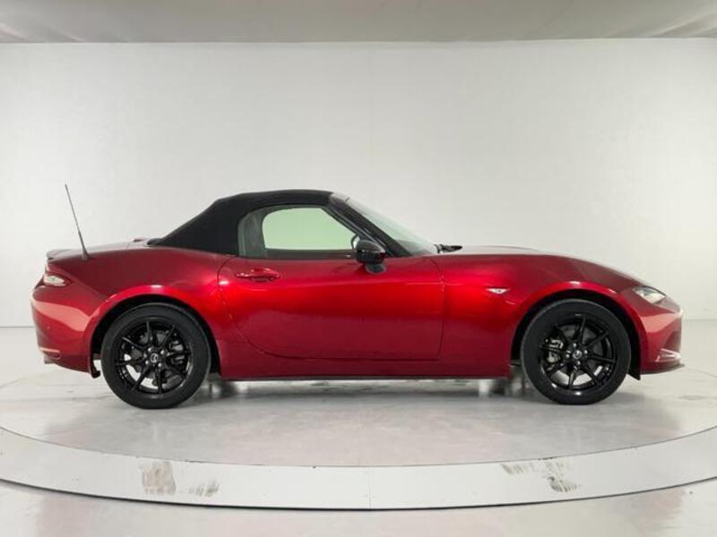 ROADSTER