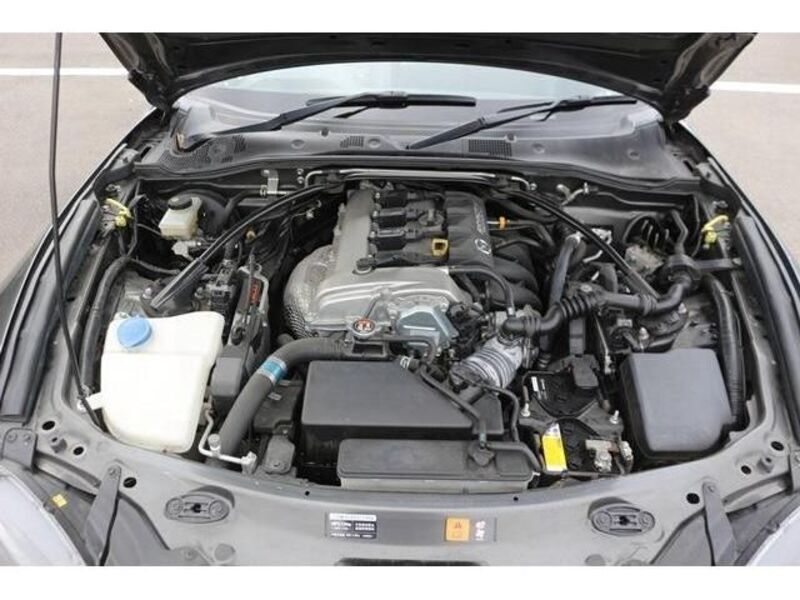 ROADSTER RF