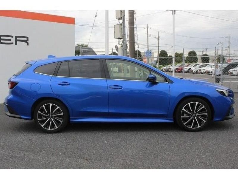 LEVORG