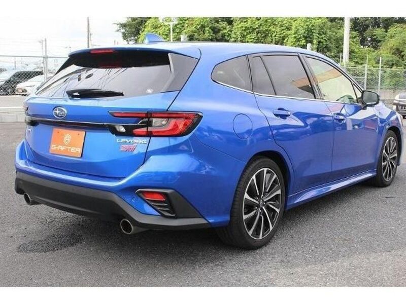 LEVORG