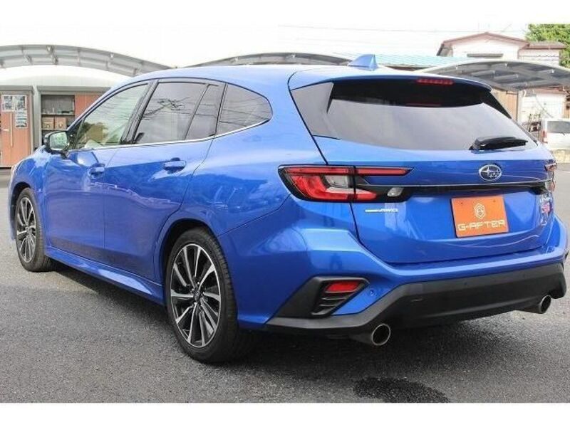 LEVORG