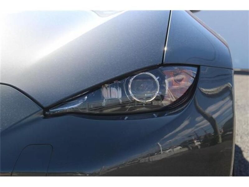 ROADSTER RF