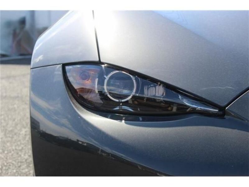 ROADSTER RF